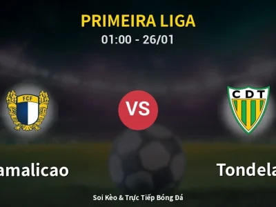 Kết Quả: Famalicao 3-0 Tondela – Highlight & Bàn Thắng | Primeira Liga