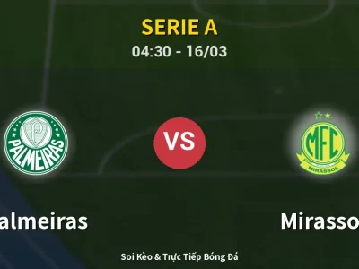 Kết Quả: Palmeiras 1-0 Mirassol – Highlight & Bàn Thắng | Serie A