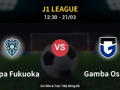 Kết Quả: Avispa Fukuoka 2-2 Gamba Osaka – Highlight & Bàn Thắng | J1 League