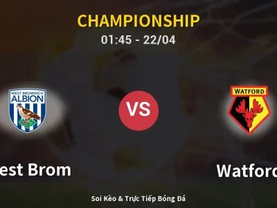 Kết Quả: West Brom 3-0 Watford – Highlight & Bàn Thắng | Championship