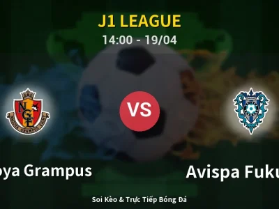 Kết Quả: Nagoya Grampus 2-2 Avispa Fukuoka – Highlight & Bàn Thắng | J1 League