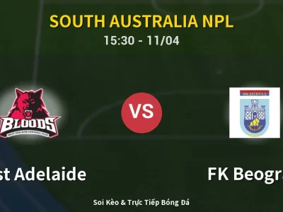Soi Kèo West Adelaide vs FK Beograd – 15:30 11/04 | Nhận Định, Dự Đoán Tỷ Số